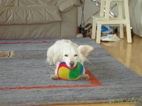mit ihrem geliebten Ball